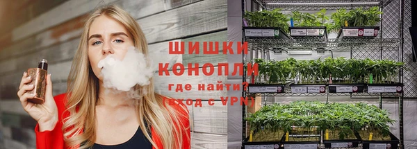 мдпв Осинники
