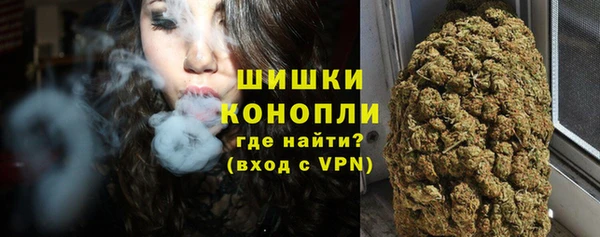 мдпв Осинники