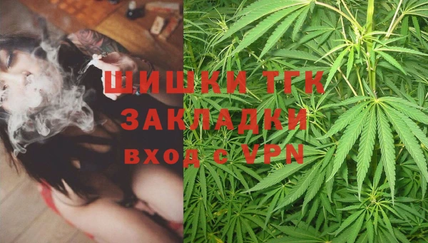 мдпв Осинники