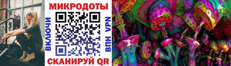 blacksprut зеркало  Кыштым  Псилоцибиновые грибы Psilocybe 