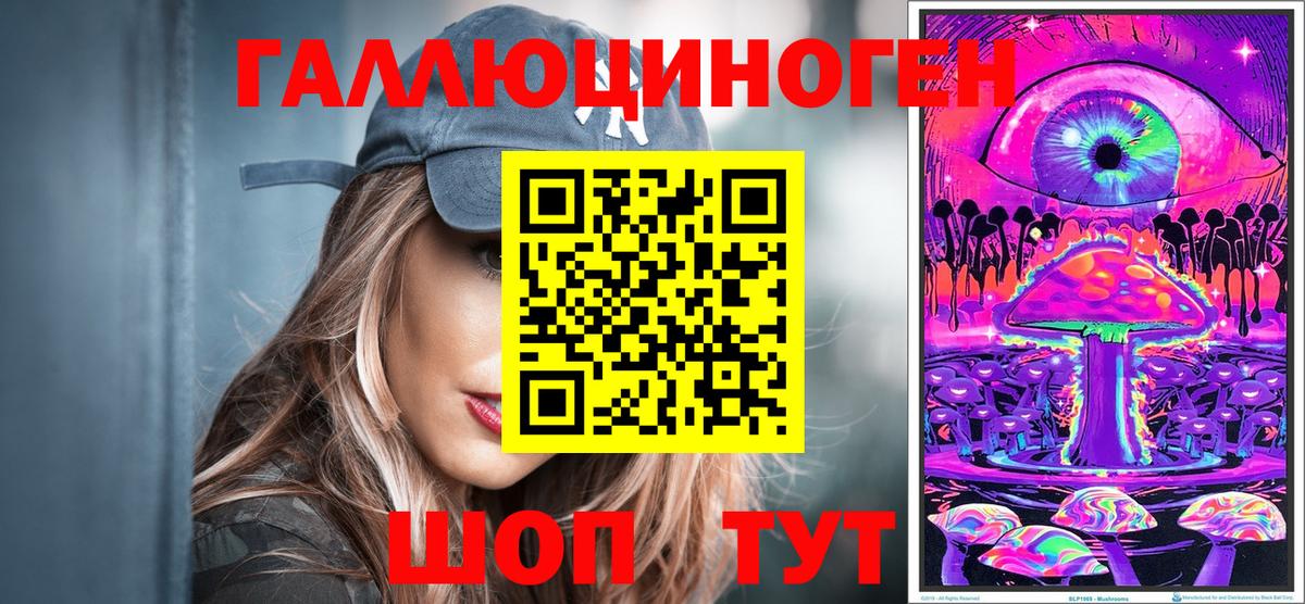 Псилоцибиновые грибы Cubensis Кыштым