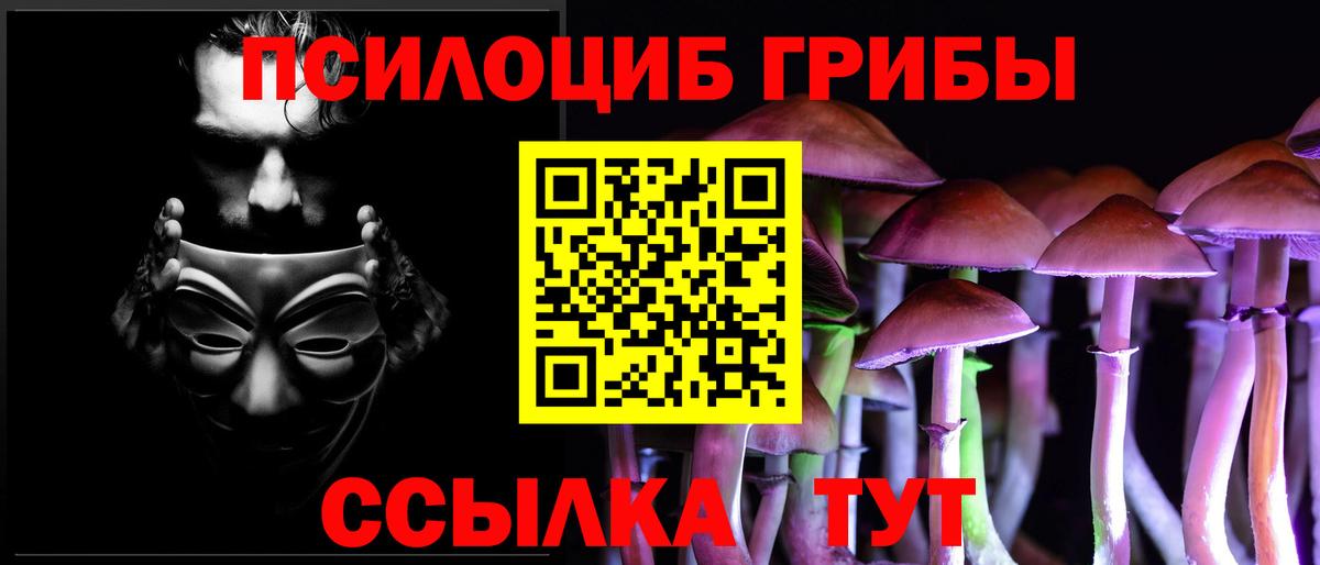 Галлюциногенные грибы GOLDEN TEACHER  Псилоцибиновые грибы Cubensis  Кыштым  Вход с VPN 